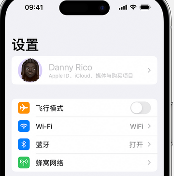 分宜appleID维修服务iPhone设置中Apple ID显示为灰色无法使用