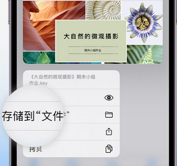 分宜apple维修中心分享iPhone文件应用中存储和找到下载文件