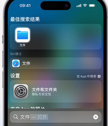 分宜apple维修中心分享iPhone文件应用中存储和找到下载文件