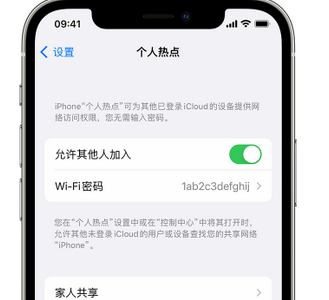 分宜apple服务站点分享iPhone上个人热点丢失了怎么办 