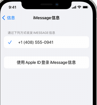 分宜apple维修iPhone上无法正常发送iMessage信息 