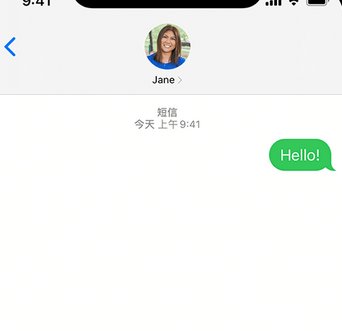 分宜apple维修iPhone上无法正常发送iMessage信息