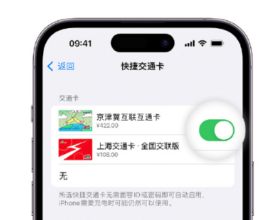 分宜apple维修点分享iPhone上更换Apple Pay快捷交通卡手绘卡面 