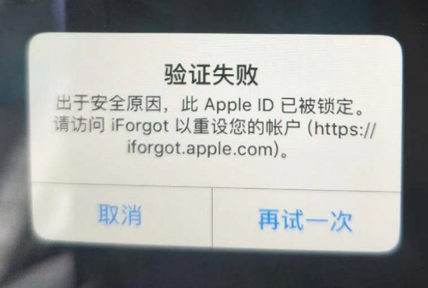 分宜iPhone维修分享iPhone上正常登录或使用AppleID怎么办 