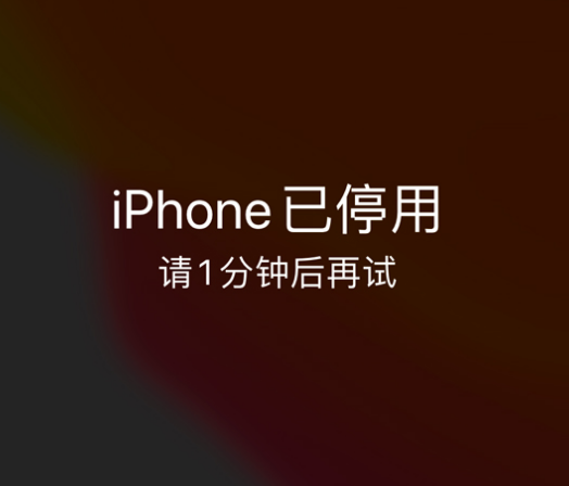 分宜苹果手机维修分享:iPhone 显示“不可用”或“已停用”怎么办？还能保留数据吗？ 