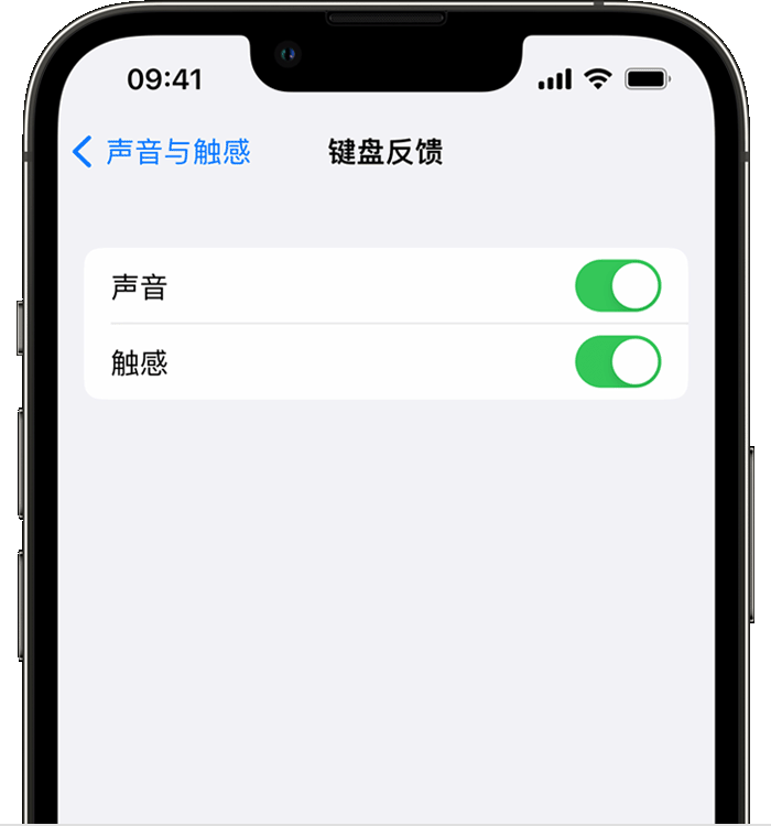 分宜苹果14维修店分享如何在 iPhone 14 机型中使用触感键盘 