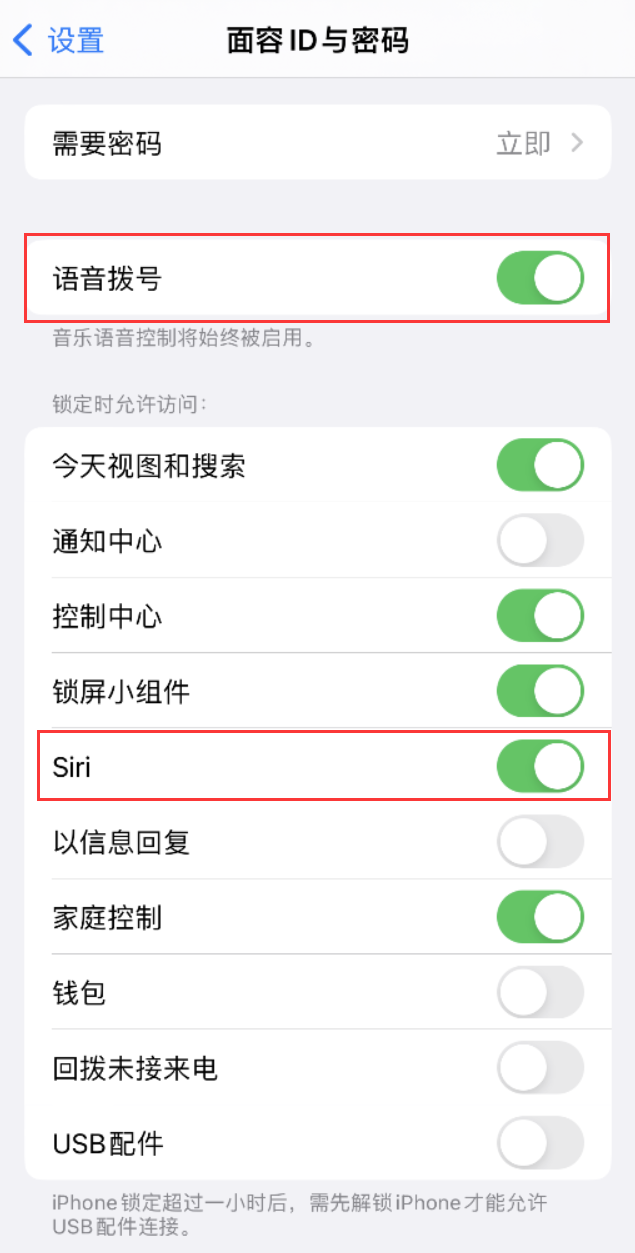 分宜苹果维修网点分享不解锁 iPhone 的情况下通过 Siri 拨打电话的方法 