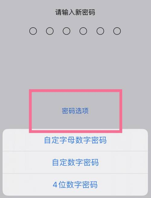 分宜苹果14维修分享iPhone 14plus设置密码的方法 