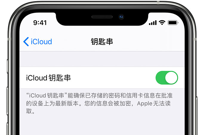 分宜苹果手机维修分享在 iPhone 上开启 iCloud 钥匙串之后会储存哪些信息 